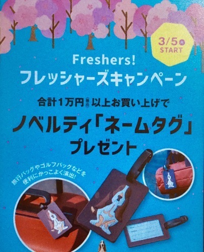 フレッシャーズキャンペーン✨