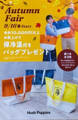 Autumn  Fair