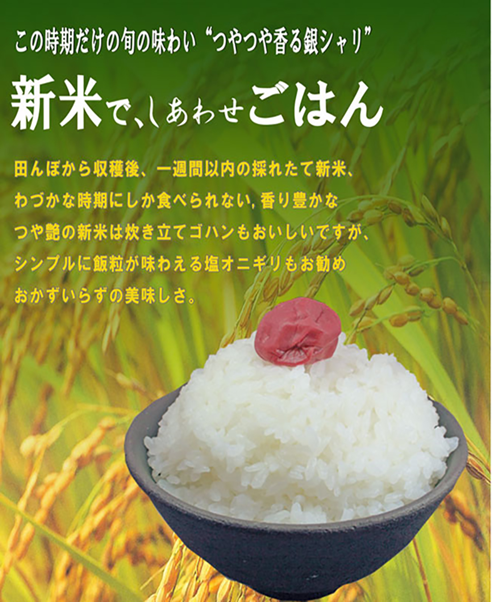 米のダイマサの画像